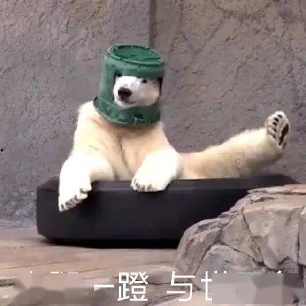 爆料最新角色沙雕图片大全,盘点最新爆笑形象大盘点