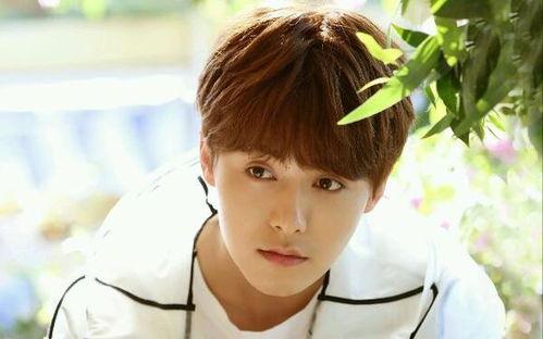 爆料马天宇的人是谁呀视频,真相背后引热议