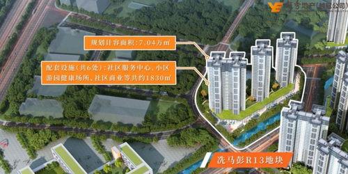 罗定阳光新城最新消息爆料  第2张